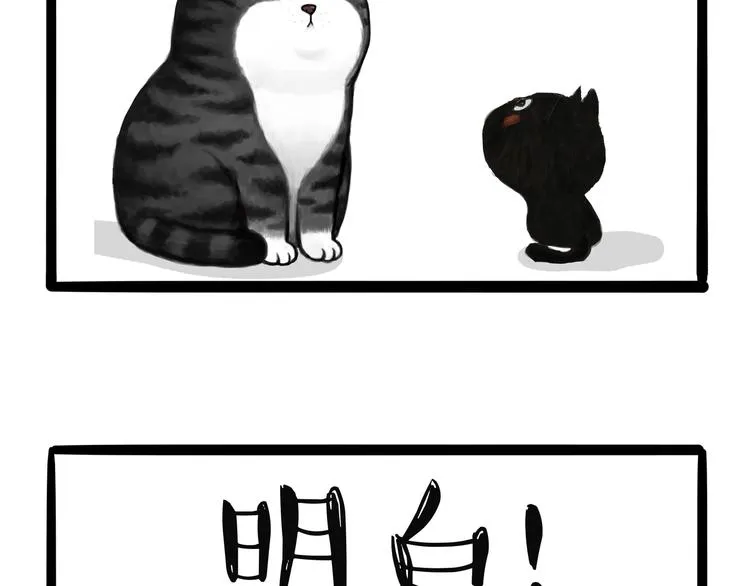 第124话 一只尊贵的喵 第9页