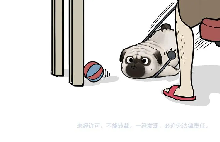第124话 一只尊贵的喵 第28页