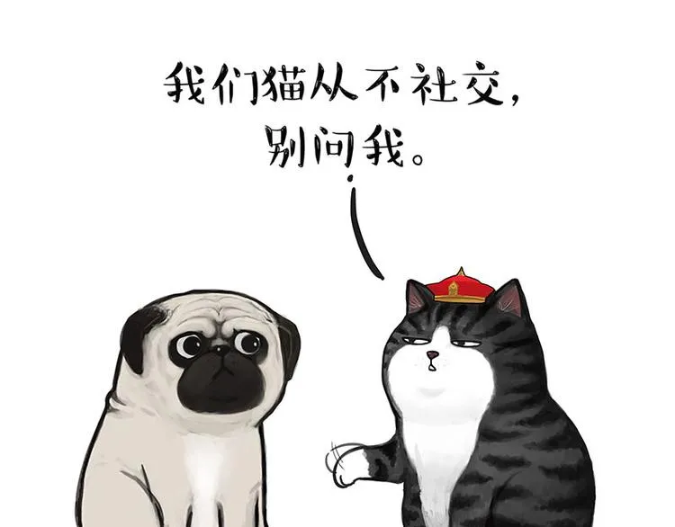 第126话 巴扎黑你什么都不懂 第3页