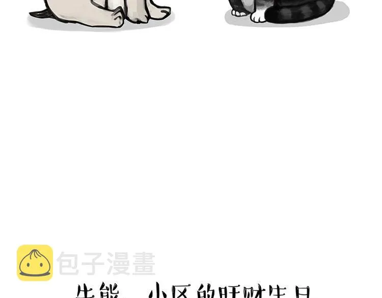 第126话 巴扎黑你什么都不懂 第4页