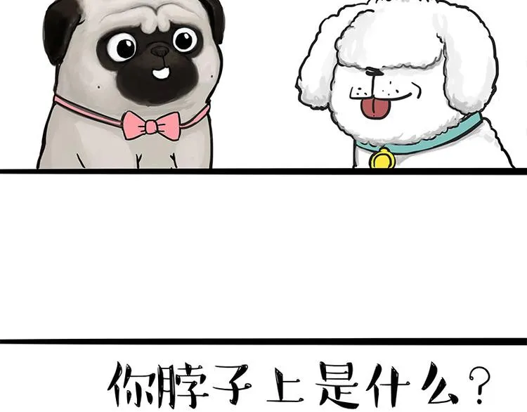第126话 巴扎黑你什么都不懂 第17页