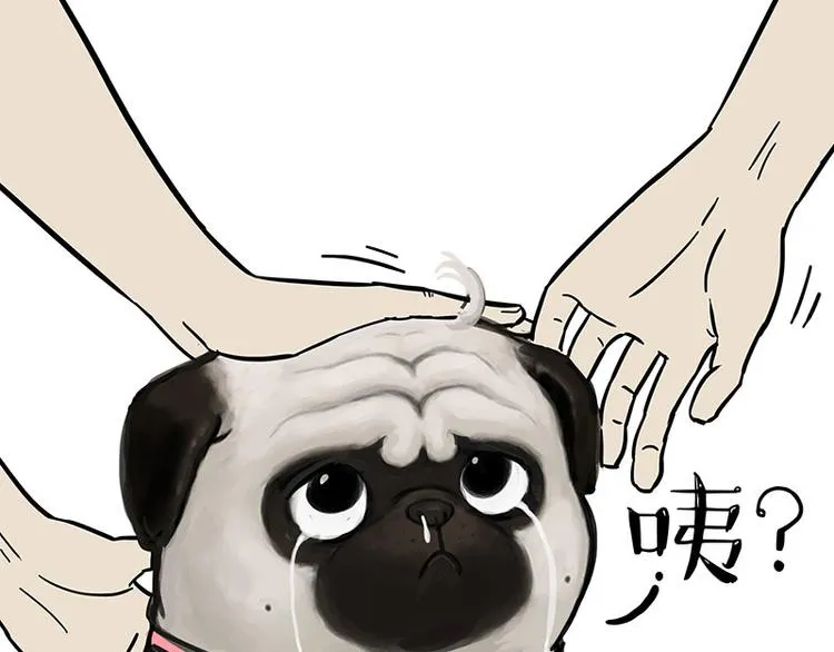 第126话 巴扎黑你什么都不懂 第25页