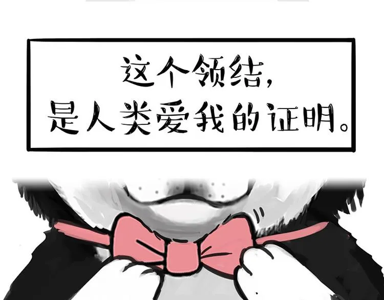 第126话 巴扎黑你什么都不懂 第71页