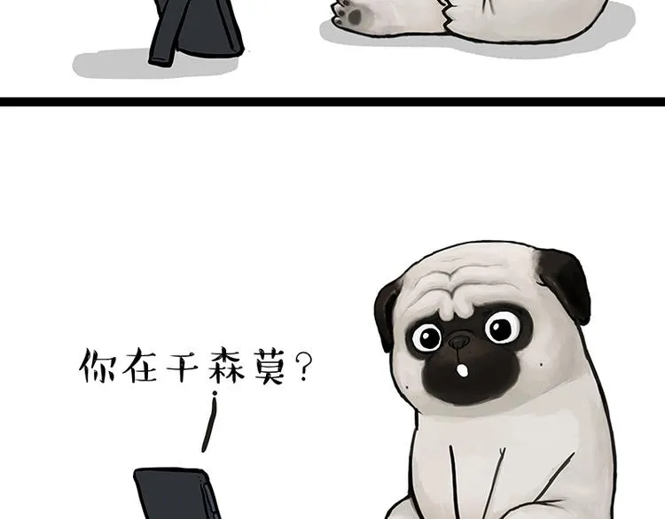 第133话 视频通话 第16页