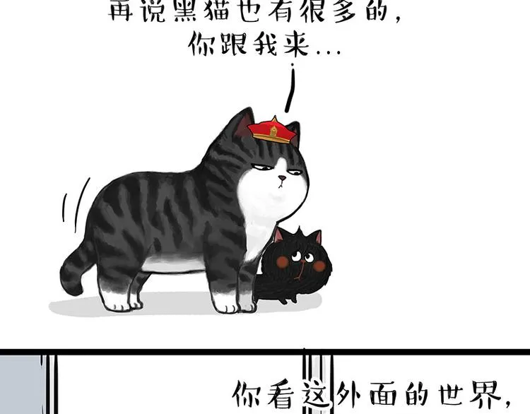 第136话 不一样又如何 第38页