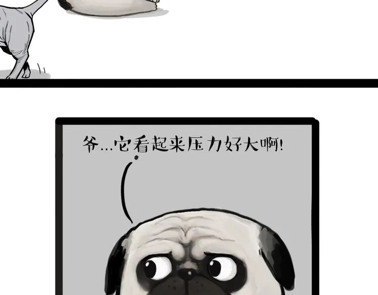 第138话 来人救驾 第11页