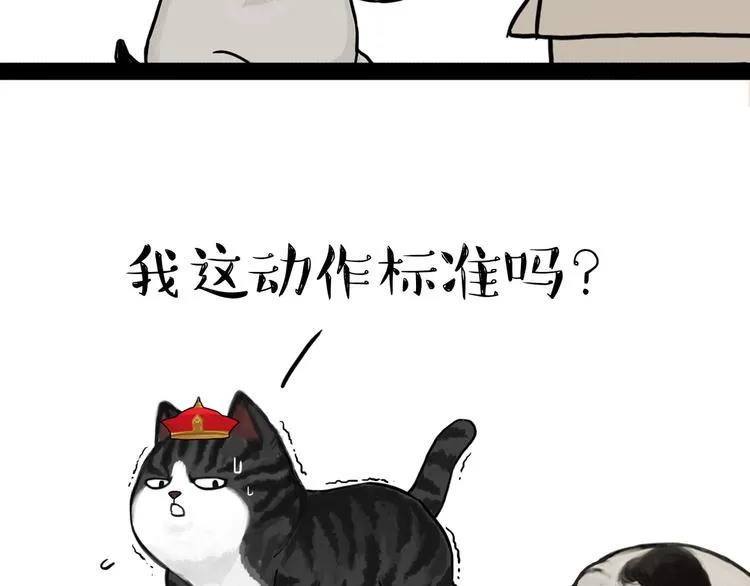 第138话 来人救驾 第13页