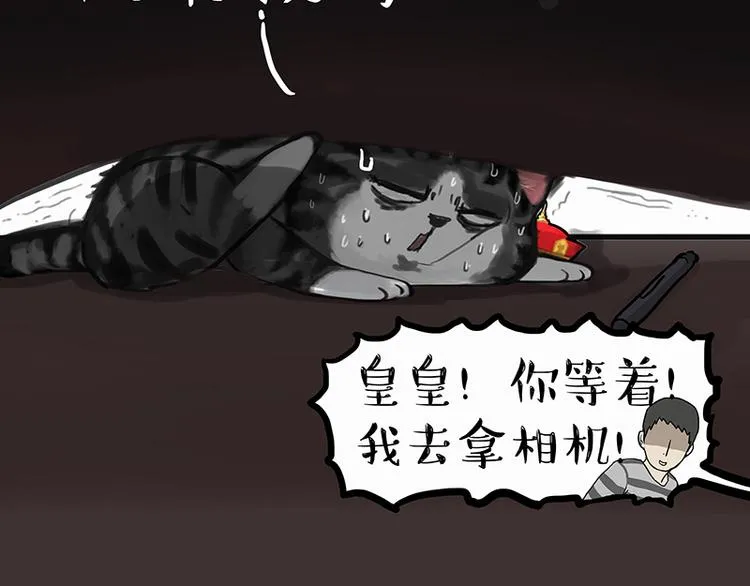 第138话 来人救驾 第41页