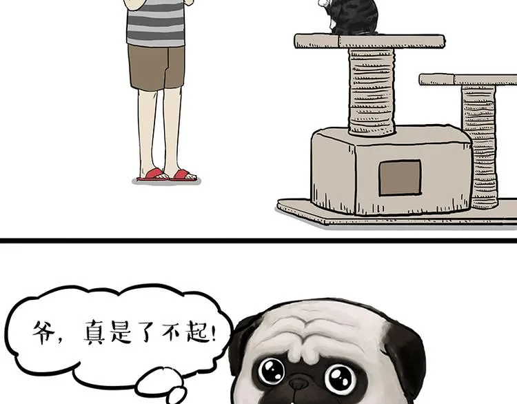 第149话 真正的傲娇 第36页