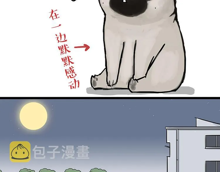 第149话 真正的傲娇 第37页