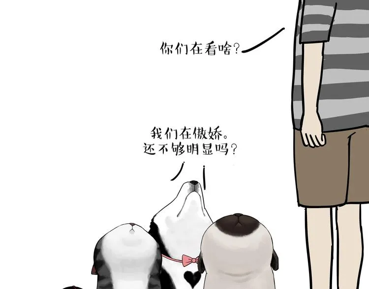第149话 真正的傲娇 第50页