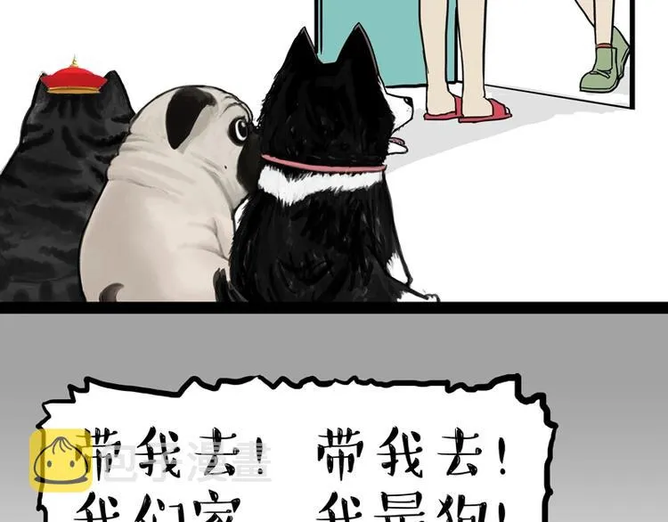 第153话 我最狗 第12页