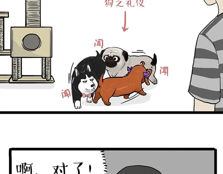 第155话 狗之礼仪 第5页