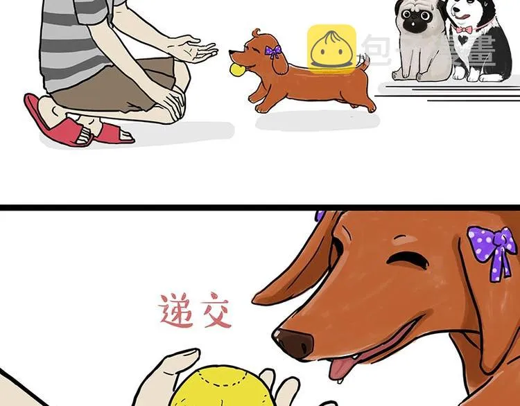 第155话 狗之礼仪 第11页