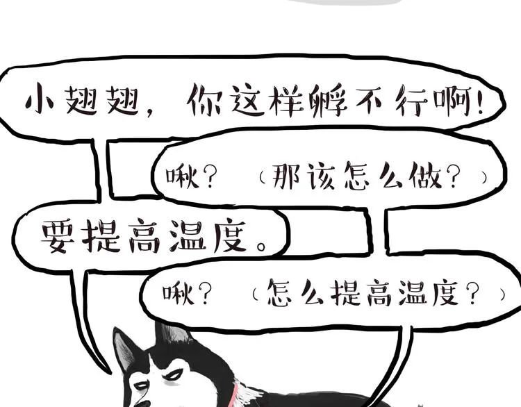 第157话 一颗蛋蛋 第24页