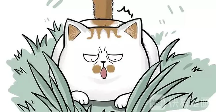 第159话 傲霸日常（二） 第13页