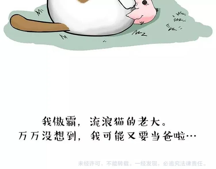 第159话 傲霸日常（二） 第56页