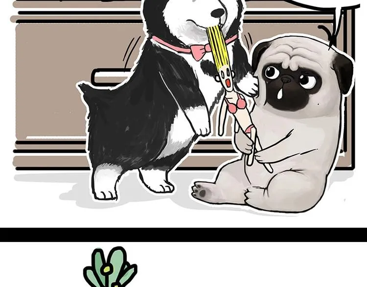 第160话 最差的一届哈士奇！ 第2页