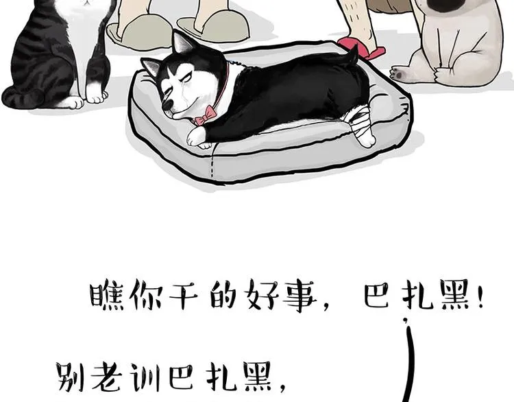 第160话 最差的一届哈士奇！ 第17页