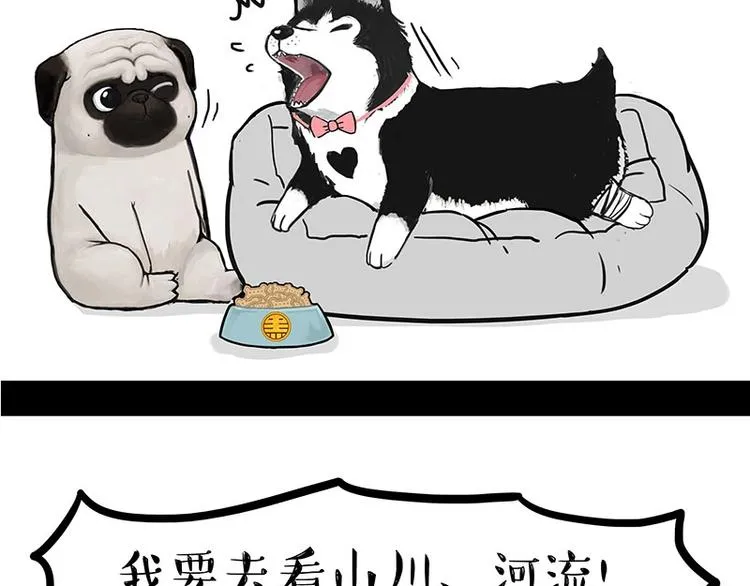 第160话 最差的一届哈士奇！ 第22页