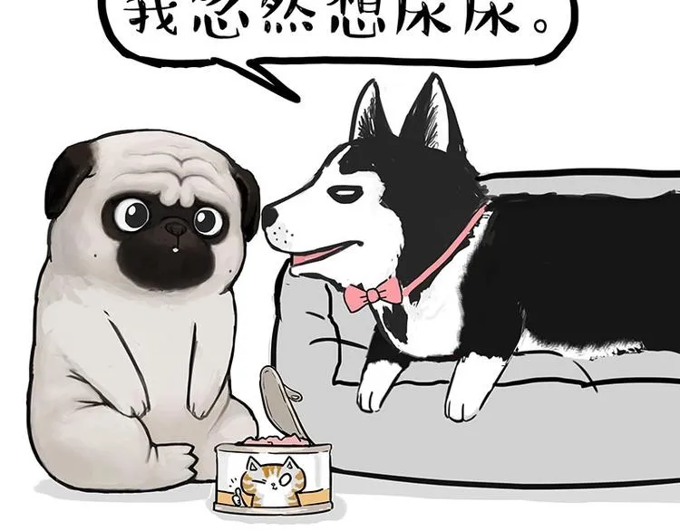 第160话 最差的一届哈士奇！ 第31页
