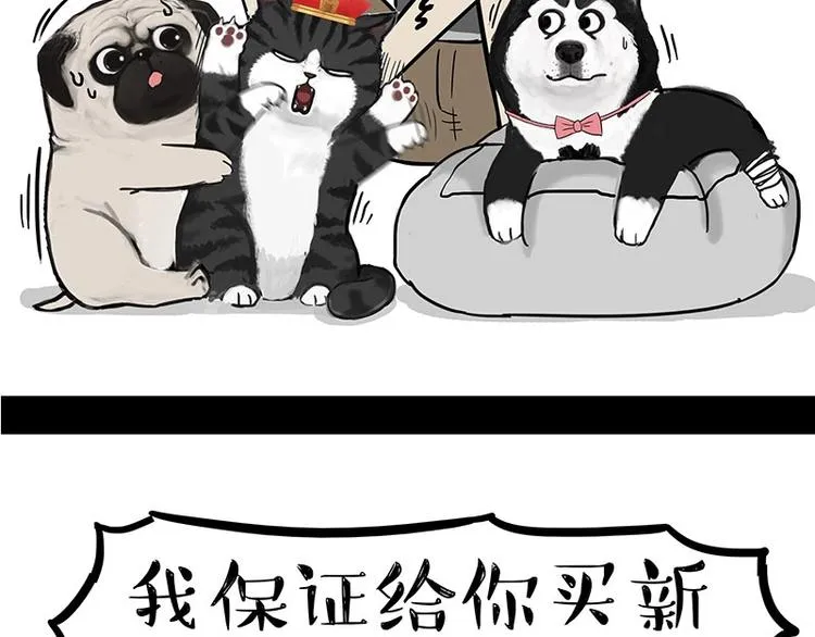 第160话 最差的一届哈士奇！ 第42页