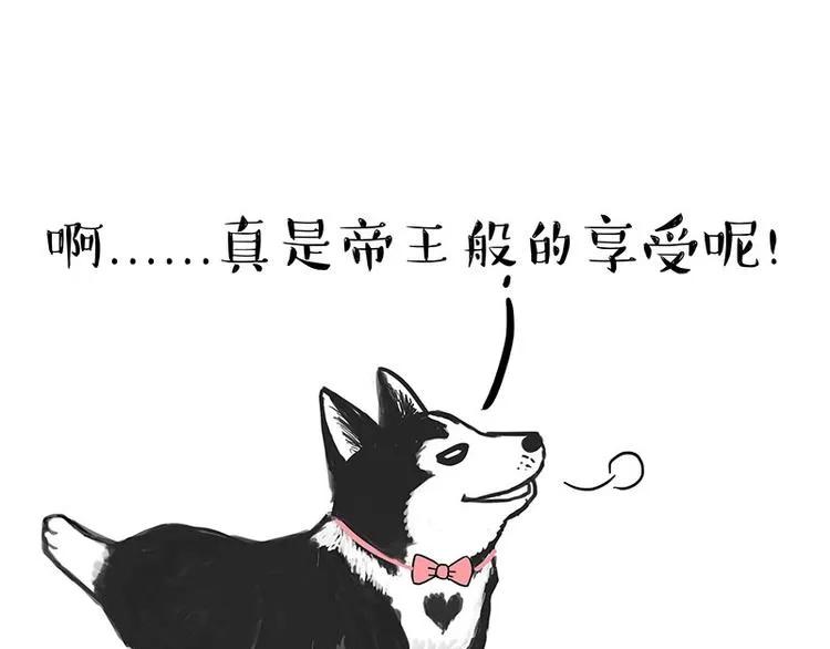 第160话 最差的一届哈士奇！ 第45页