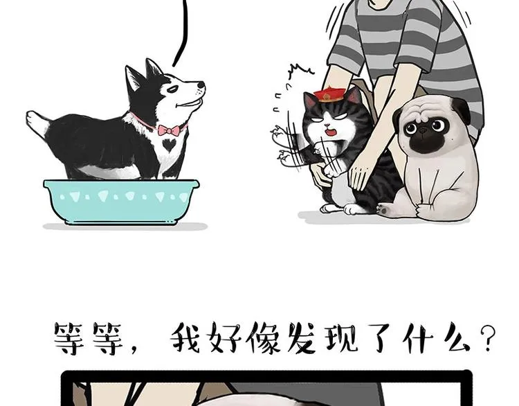 第160话 最差的一届哈士奇！ 第47页