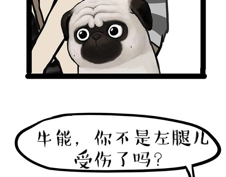 第160话 最差的一届哈士奇！ 第48页