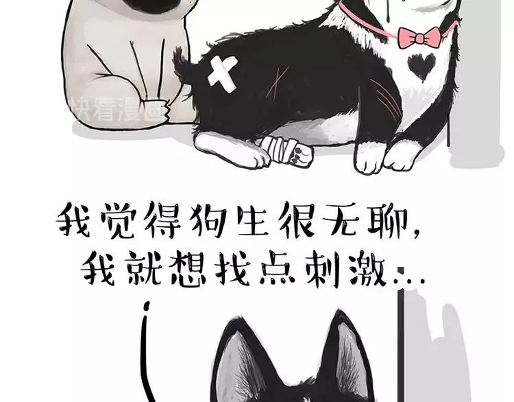 第160话 最差的一届哈士奇！ 第56页