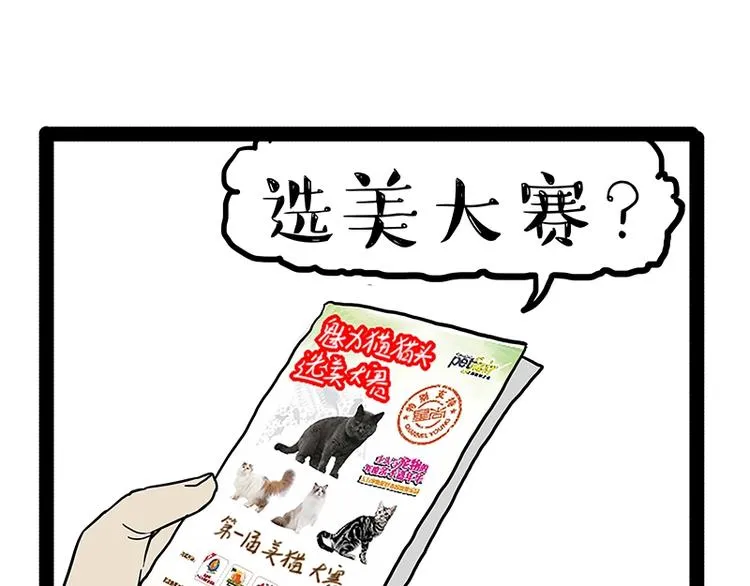 第162话 喵星人选美大赛 第1页