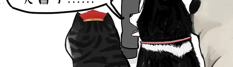 第162话 喵星人选美大赛 第48页