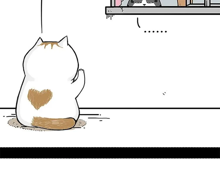 第167话 猫王争霸赛 第5页