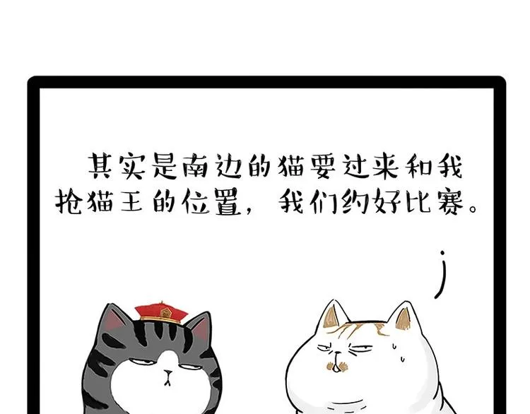 第167话 猫王争霸赛 第10页