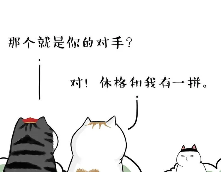 第167话 猫王争霸赛 第15页