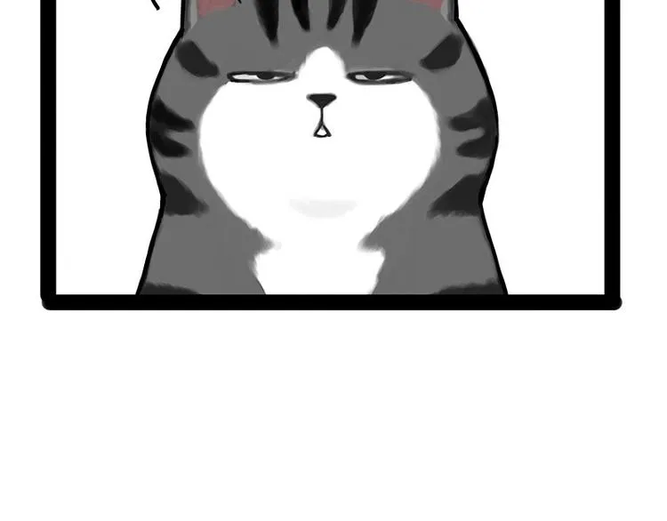 第167话 猫王争霸赛 第17页