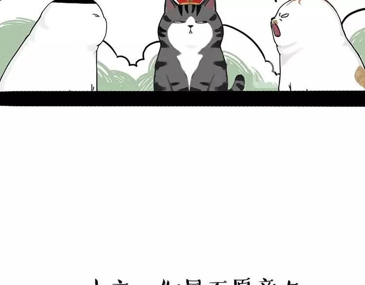 第167话 猫王争霸赛 第22页