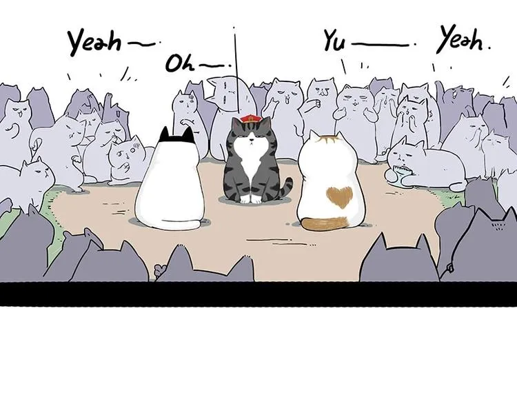 第167话 猫王争霸赛 第25页