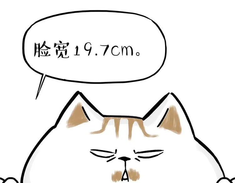 第167话 猫王争霸赛 第28页