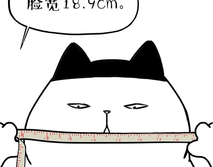 第167话 猫王争霸赛 第30页