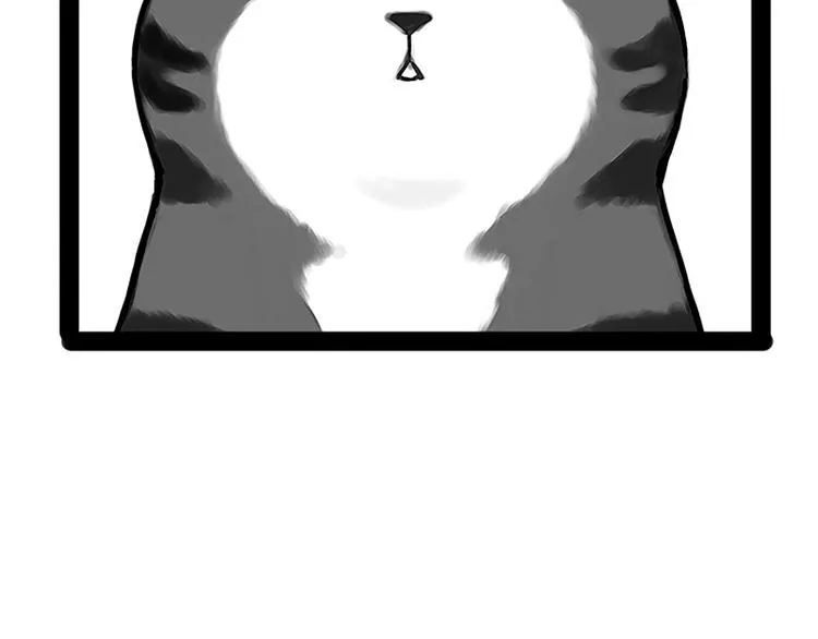 第167话 猫王争霸赛 第34页