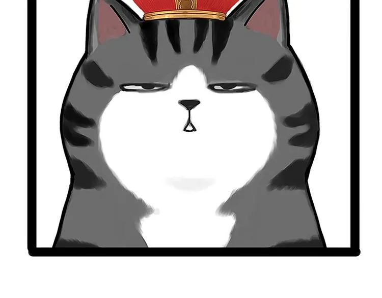 第167话 猫王争霸赛 第37页