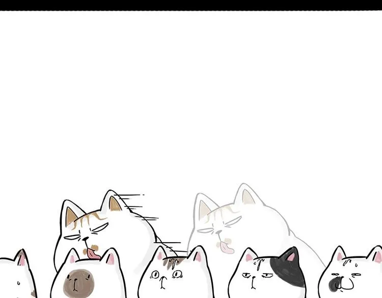 第167话 猫王争霸赛 第42页