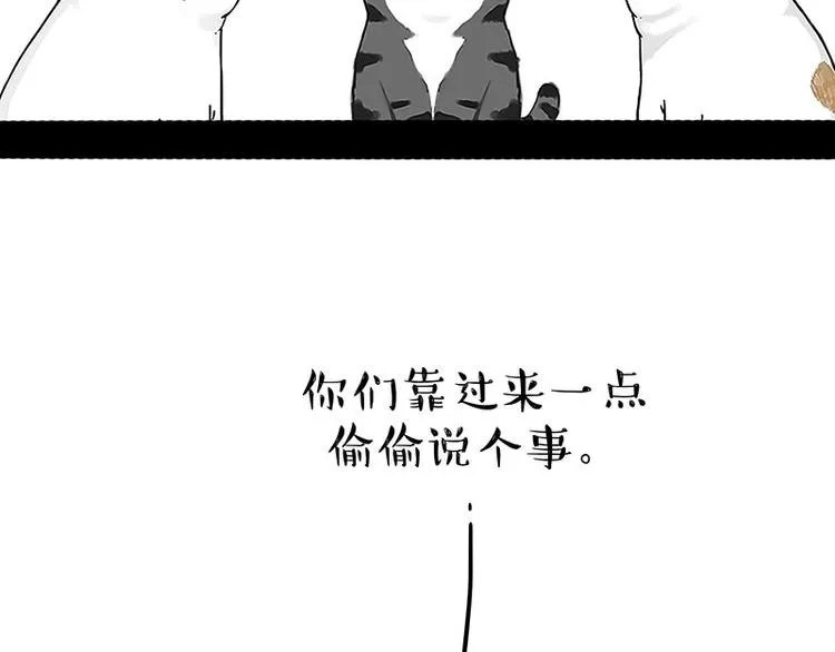 第167话 猫王争霸赛 第47页