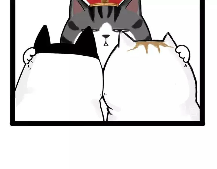 第167话 猫王争霸赛 第51页