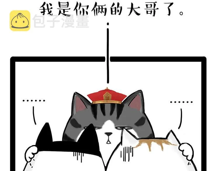 第167话 猫王争霸赛 第55页