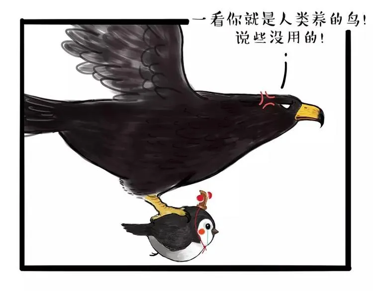 第168话 翅中历险记 第7页