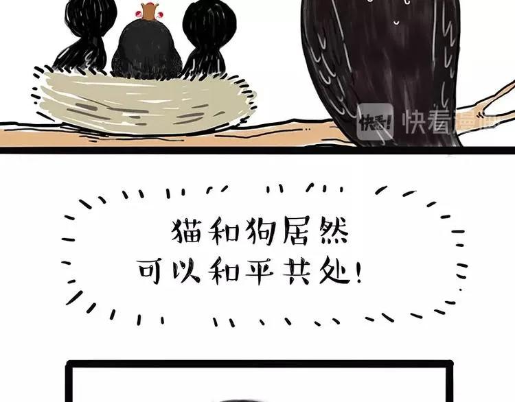 第168话 翅中历险记 第40页