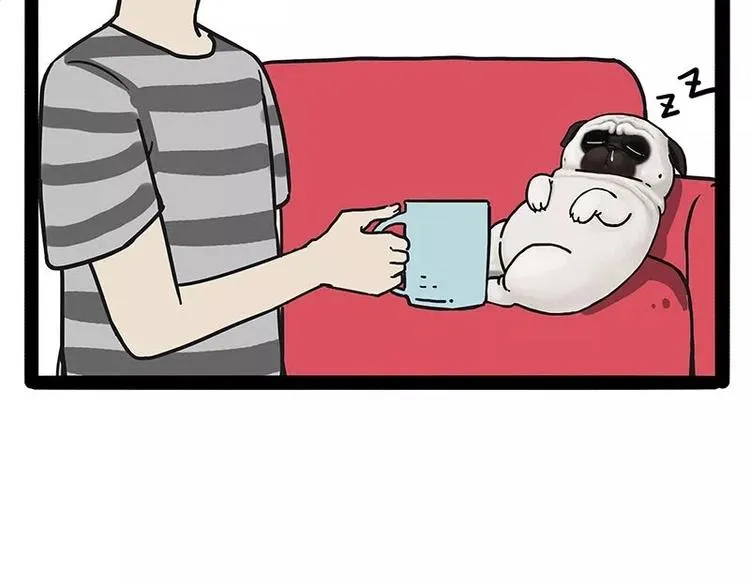 第169话 巴扎黑中毒了？！ 第5页