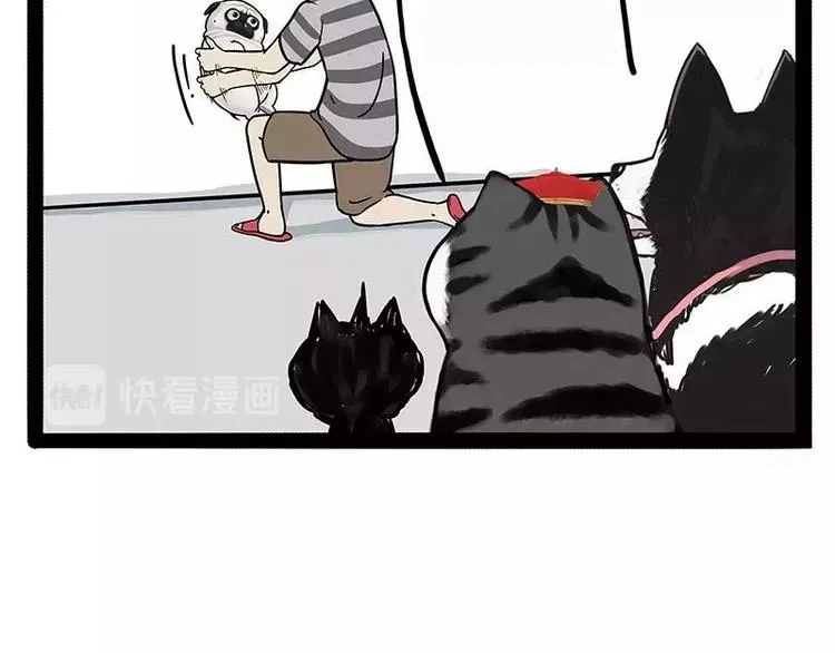 第169话 巴扎黑中毒了？！ 第9页